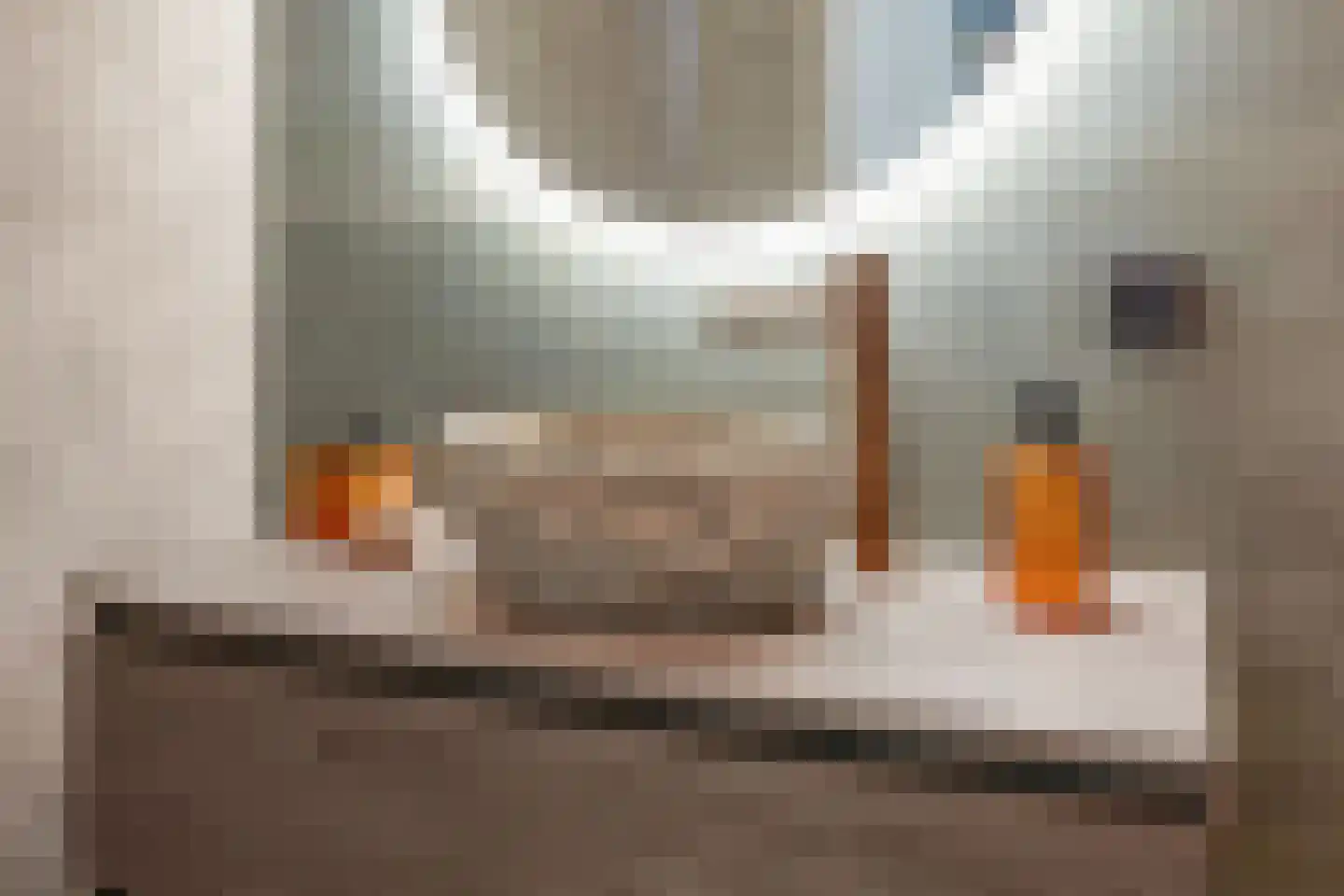 Geestersingel 103 Alkmaar thumbnail 24