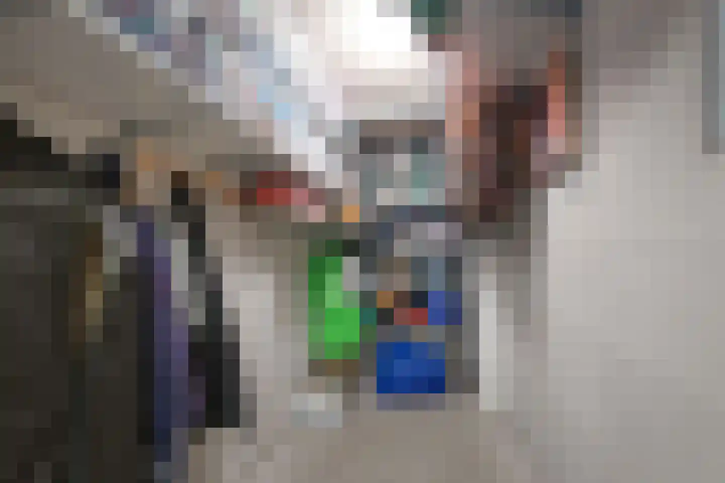 Geestersingel 103 Alkmaar thumbnail 32
