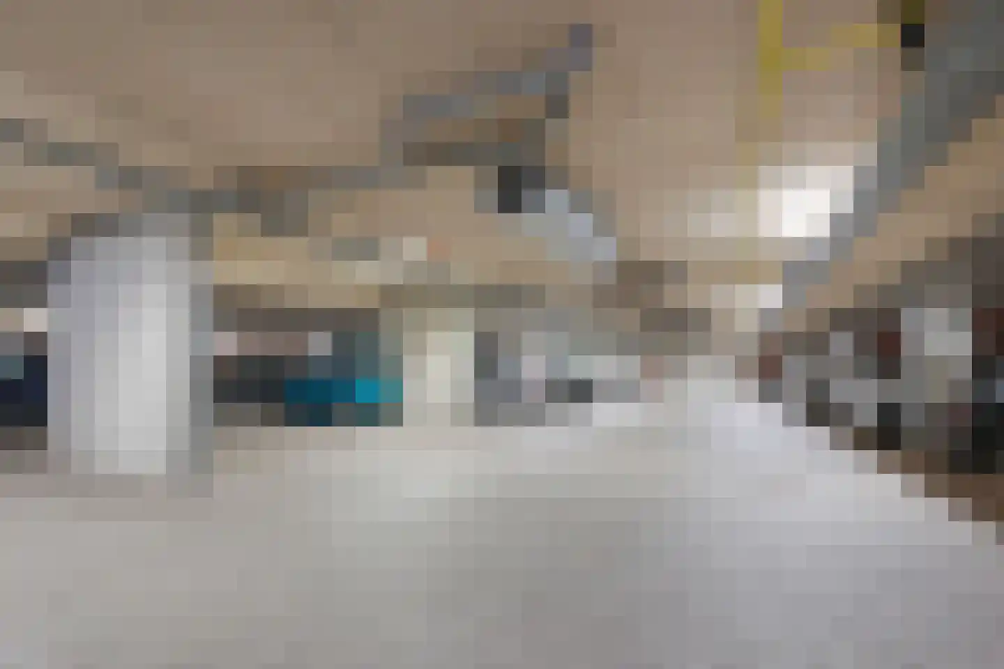 Geestersingel 103 Alkmaar thumbnail 33