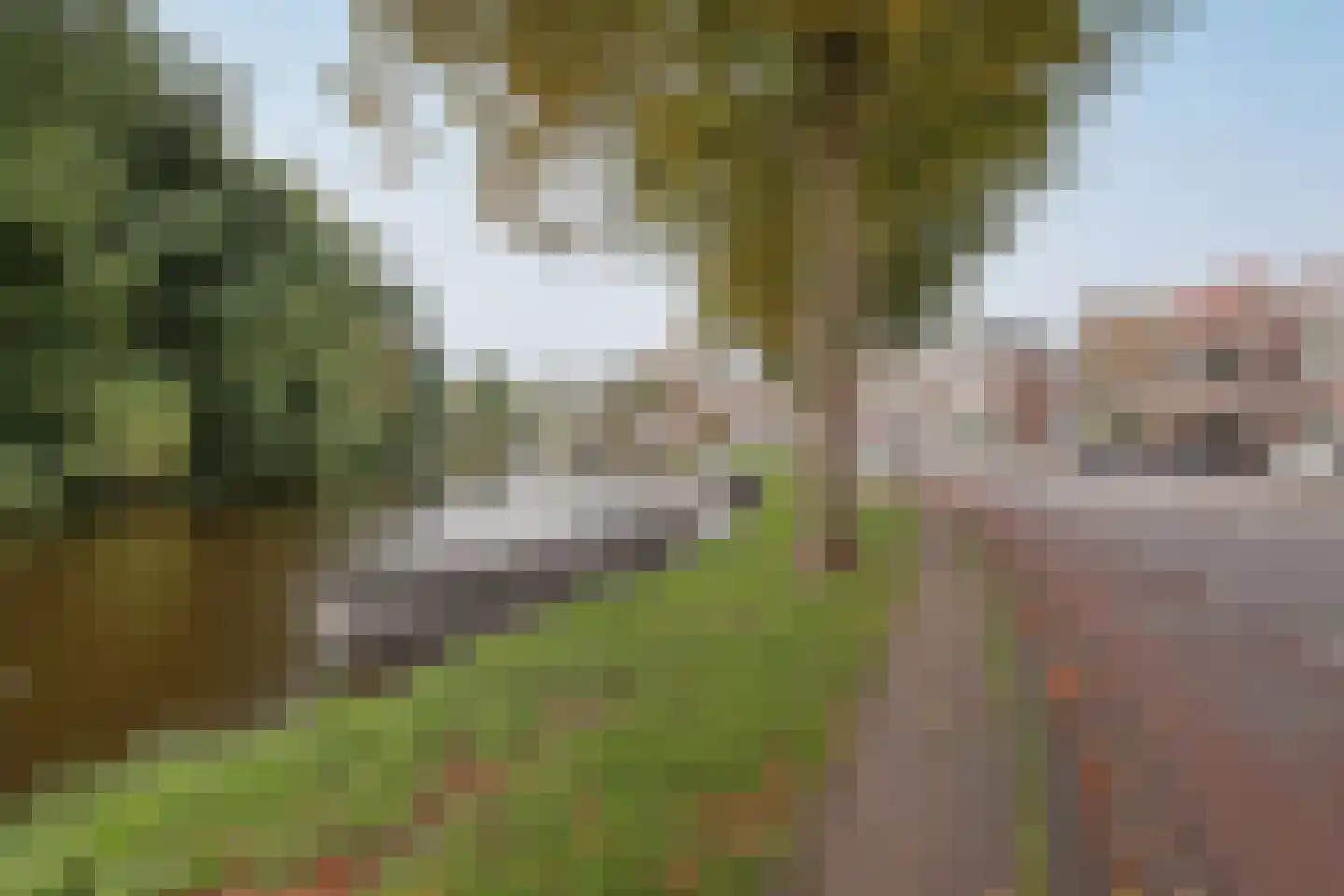 Geestersingel 103 Alkmaar thumbnail 36