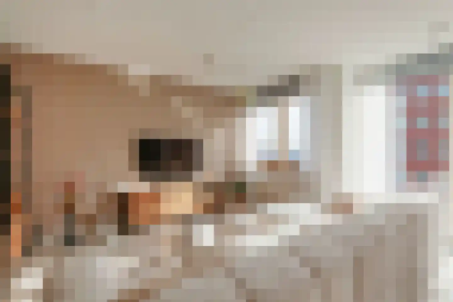 Geestersingel 103 Alkmaar thumbnail 4