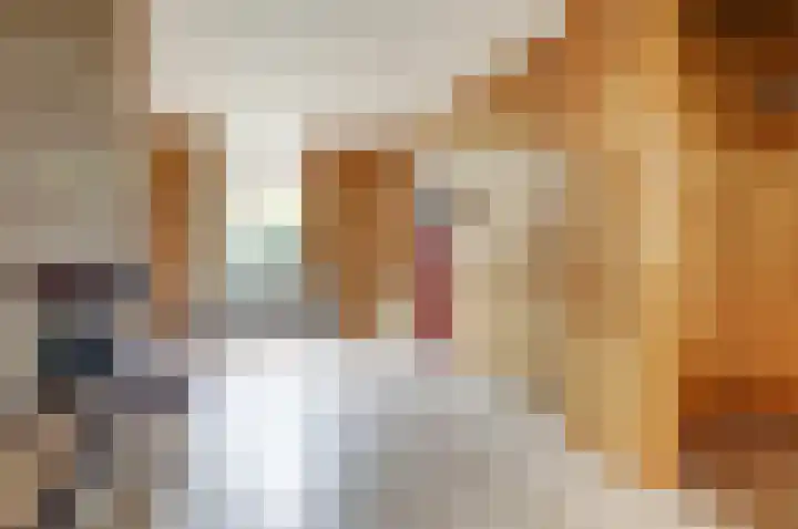 Geestersingel 53 Alkmaar thumbnail 13