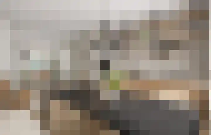 Geestersingel 53 Alkmaar thumbnail 15