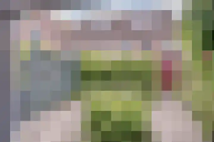 Geestersingel 53 Alkmaar thumbnail 26