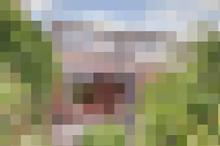 Geestersingel 53 Alkmaar thumbnail 27