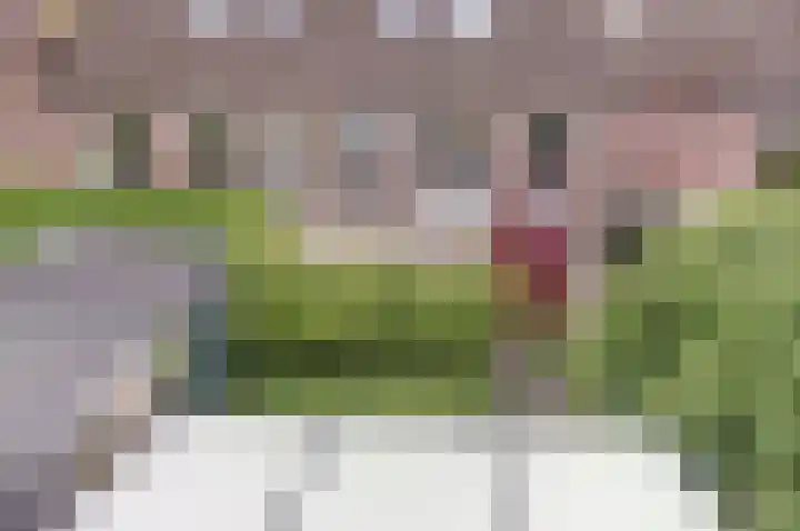 Geestersingel 53 Alkmaar thumbnail 28