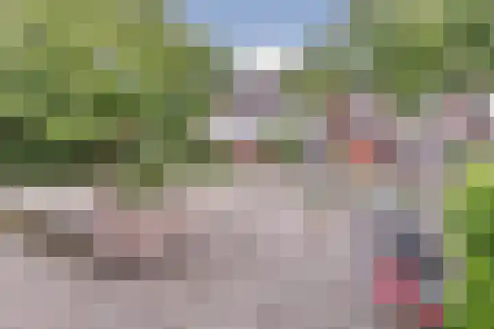 Geestersingel 53 Alkmaar thumbnail 30