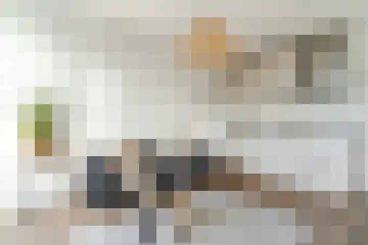 Geestersingel 65 B Alkmaar thumbnail 11