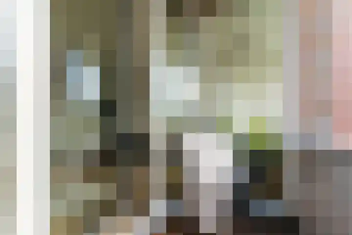Geestersingel 65 B Alkmaar thumbnail 19