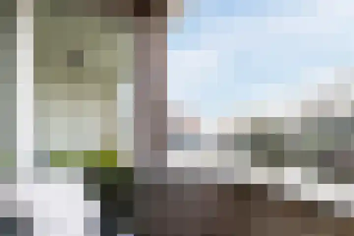 Geestersingel 65 B Alkmaar thumbnail 4