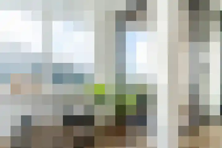 Geestersingel 65 B Alkmaar thumbnail 9