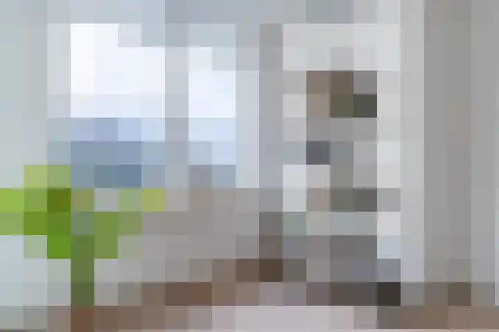 Geestersingel 65 C Alkmaar thumbnail 7