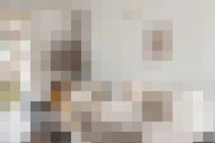 Geestersingel 7 Alkmaar thumbnail 12
