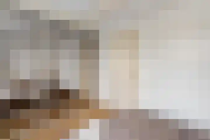 Geestersingel 7 Alkmaar thumbnail 22