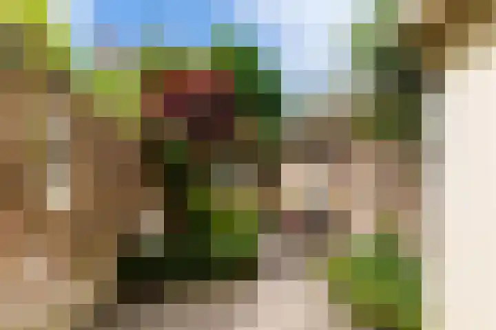 Geestersingel 7 Alkmaar thumbnail 32