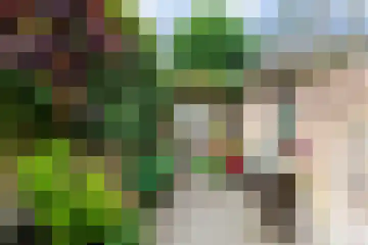 Geestersingel 7 Alkmaar thumbnail 33