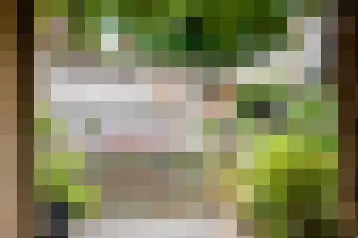Geestersingel 7 Alkmaar thumbnail 35