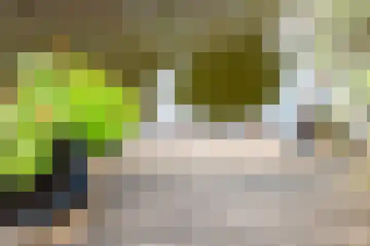 Geestersingel 7 Alkmaar thumbnail 36