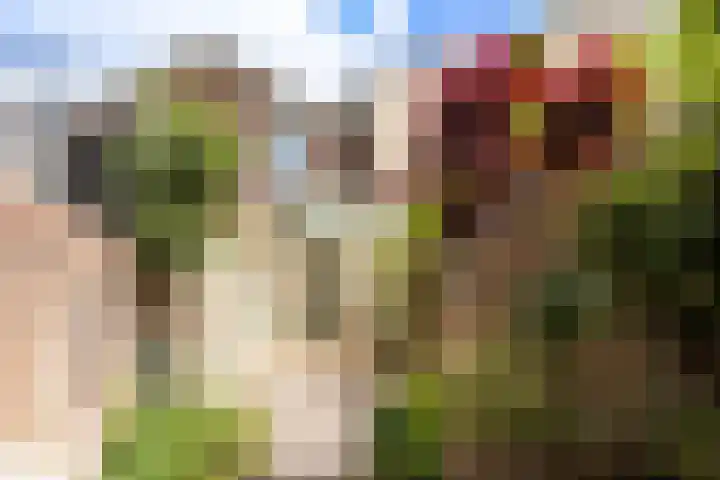Geestersingel 7 Alkmaar thumbnail 38