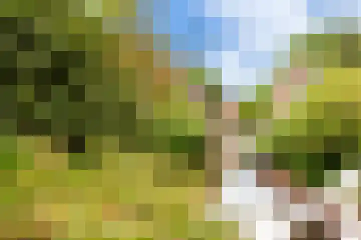 Geestersingel 7 Alkmaar thumbnail 42