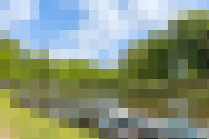 Geestersingel 7 Alkmaar thumbnail 43