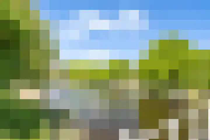 Geestersingel 7 Alkmaar thumbnail 45