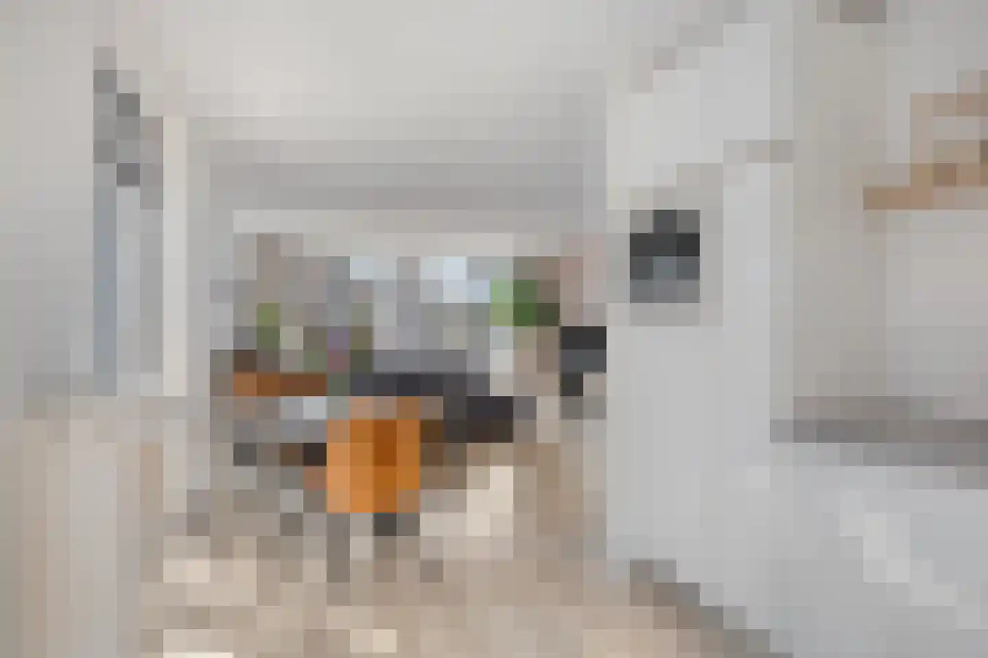 Geestersingel 70 Alkmaar thumbnail 11