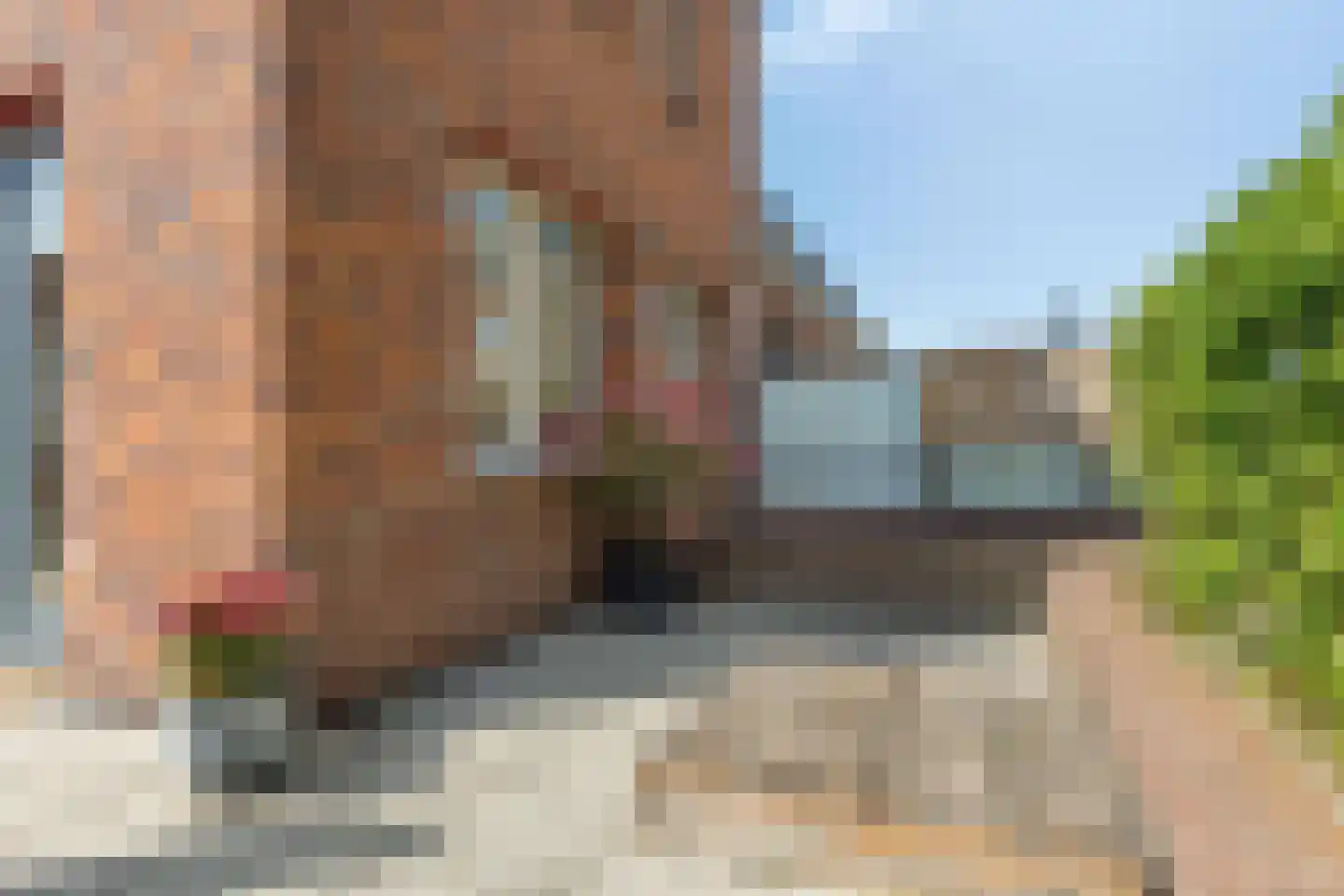 Geestersingel 70 Alkmaar thumbnail 25