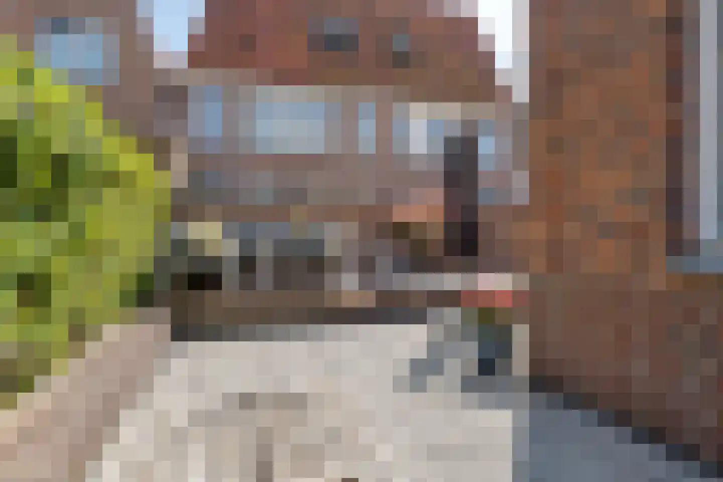 Geestersingel 70 Alkmaar thumbnail 26