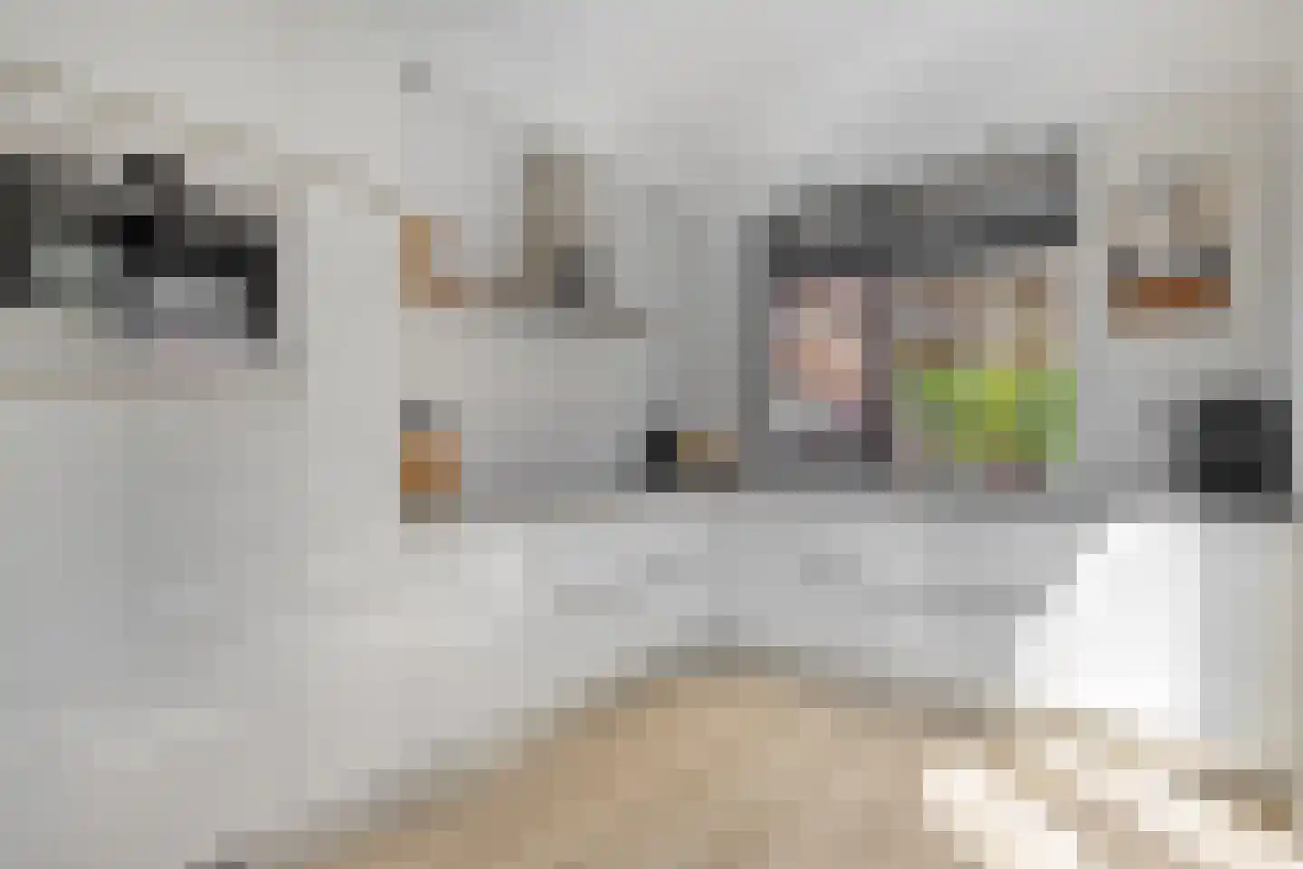 Geestersingel 70 Alkmaar thumbnail 4