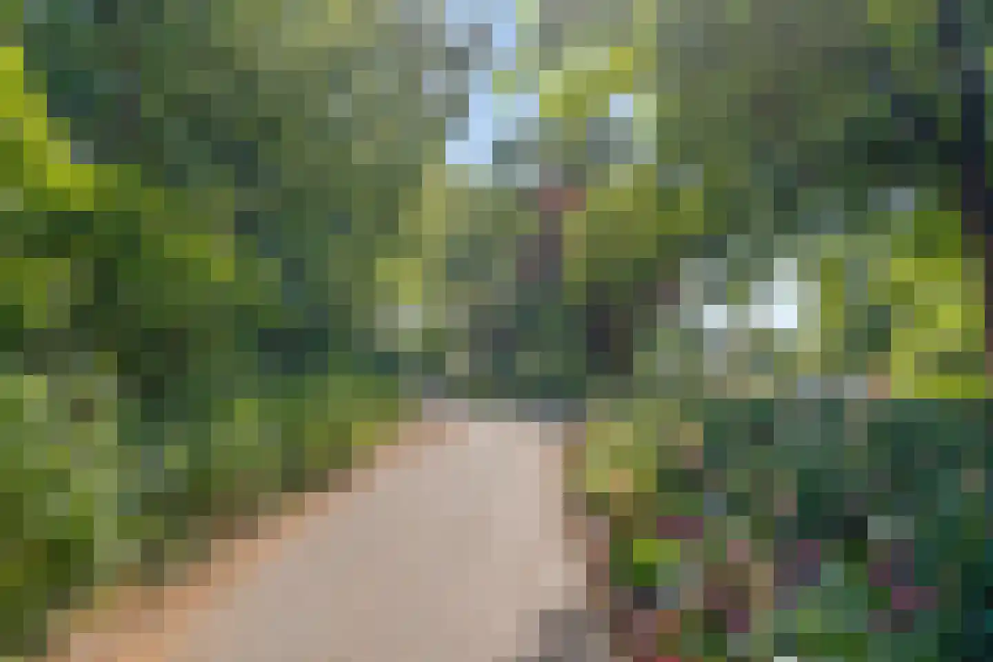 Geestersingel 70 Alkmaar thumbnail 42
