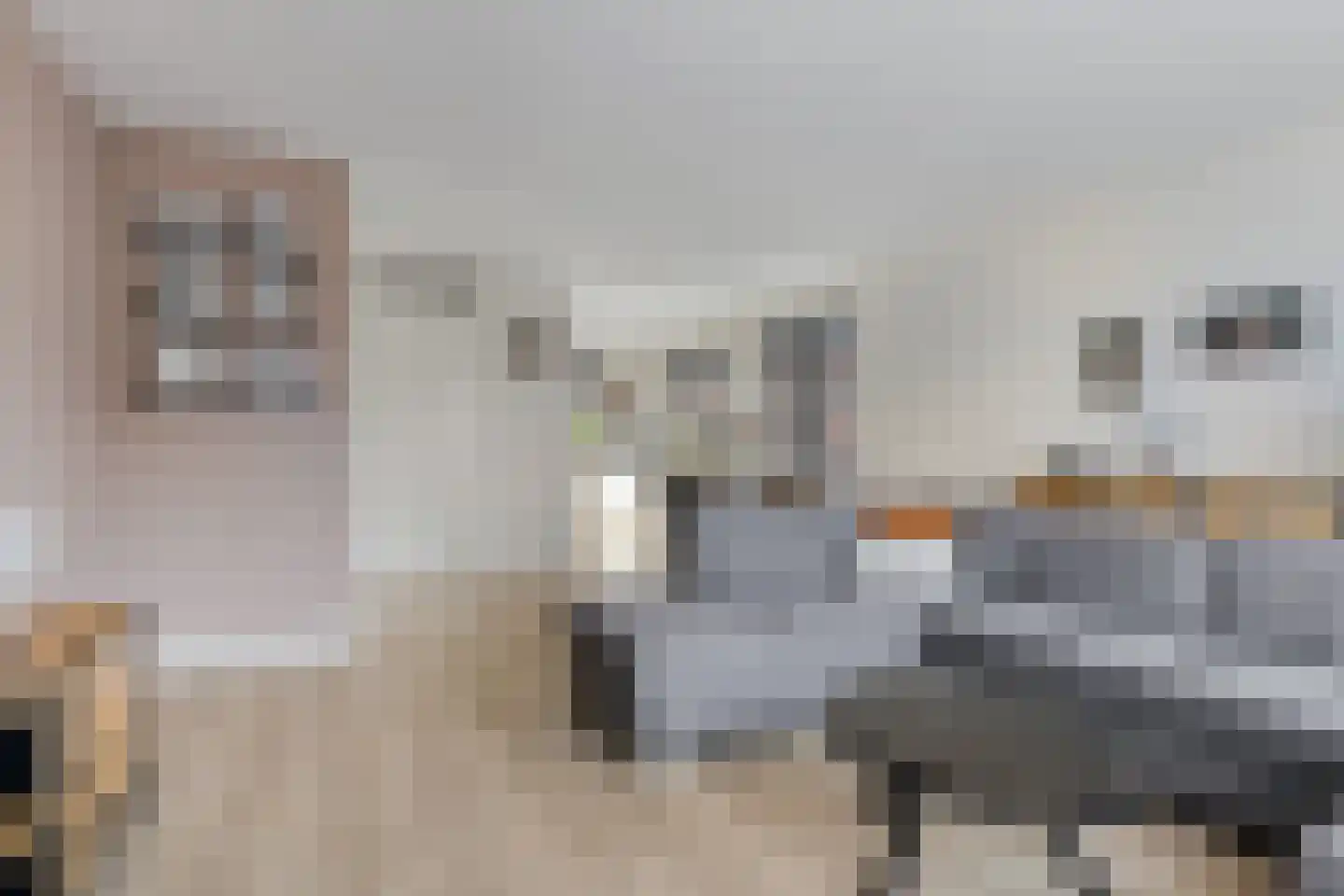 Geestersingel 70 Alkmaar thumbnail 6