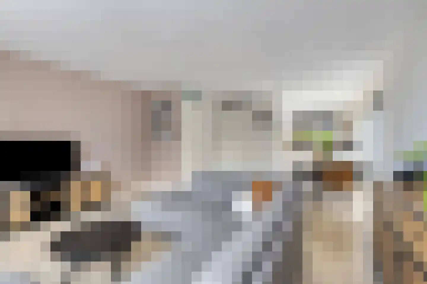 Geestersingel 70 Alkmaar thumbnail 7