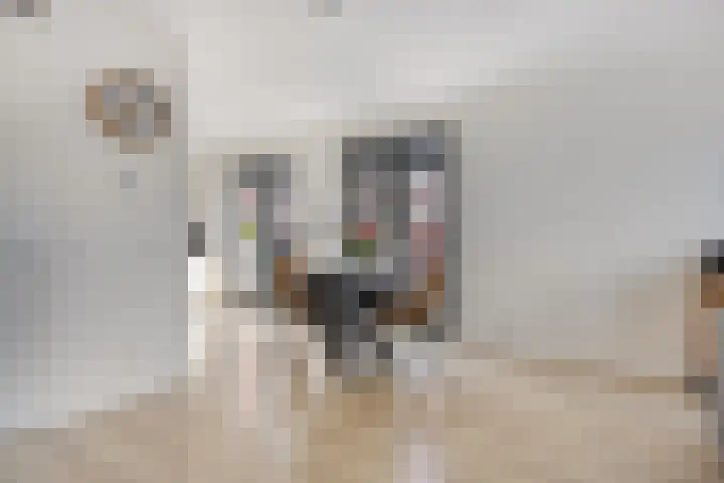 Geestersingel 70 Alkmaar thumbnail 8