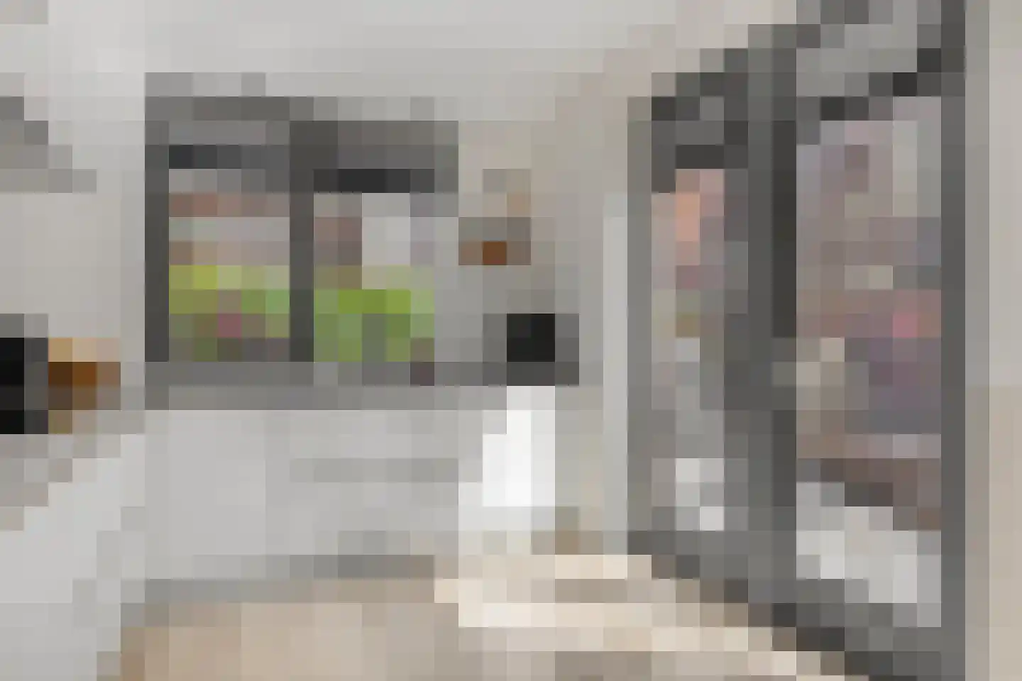 Geestersingel 70 Alkmaar thumbnail 9