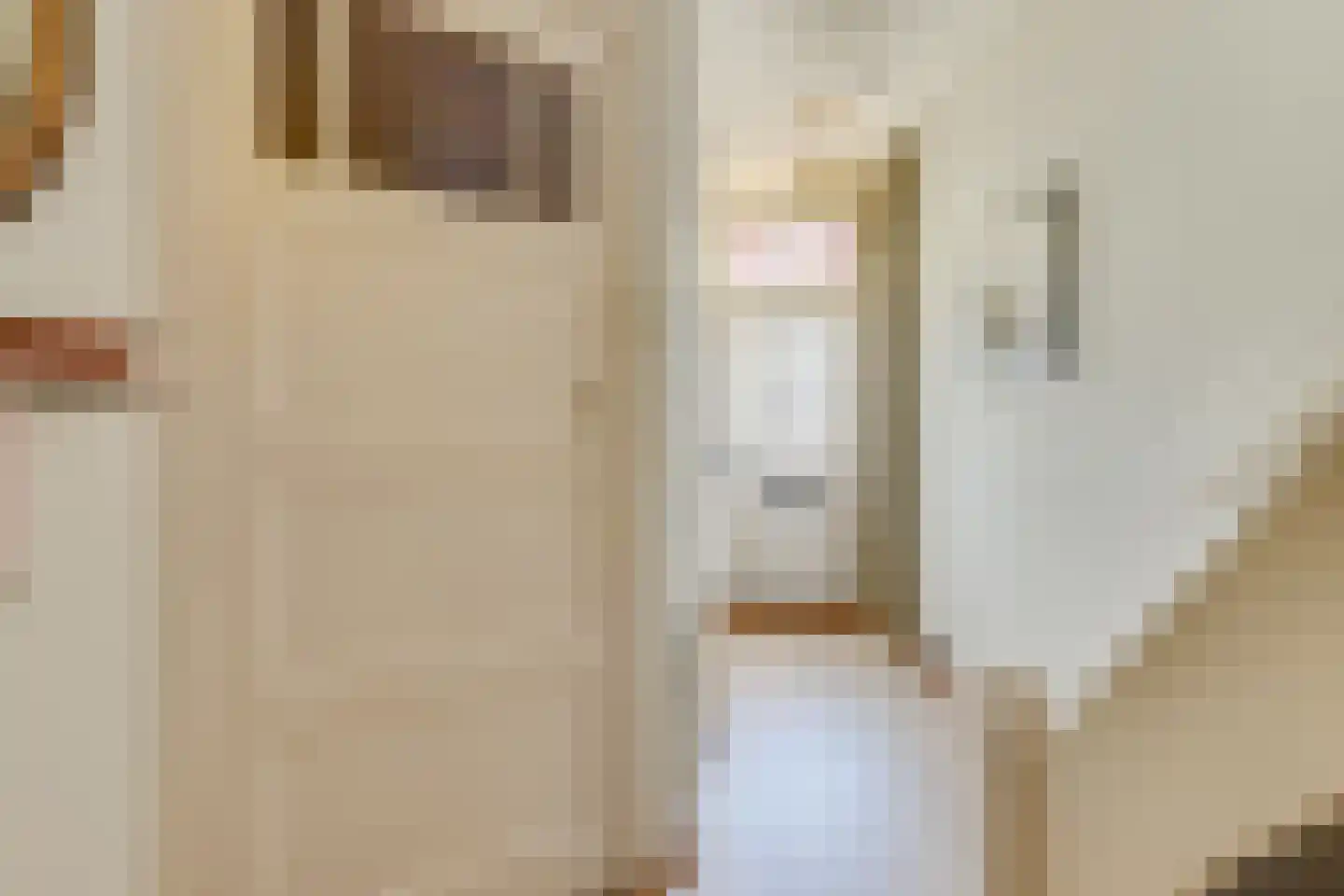 Geestersingel 9 Alkmaar thumbnail 9