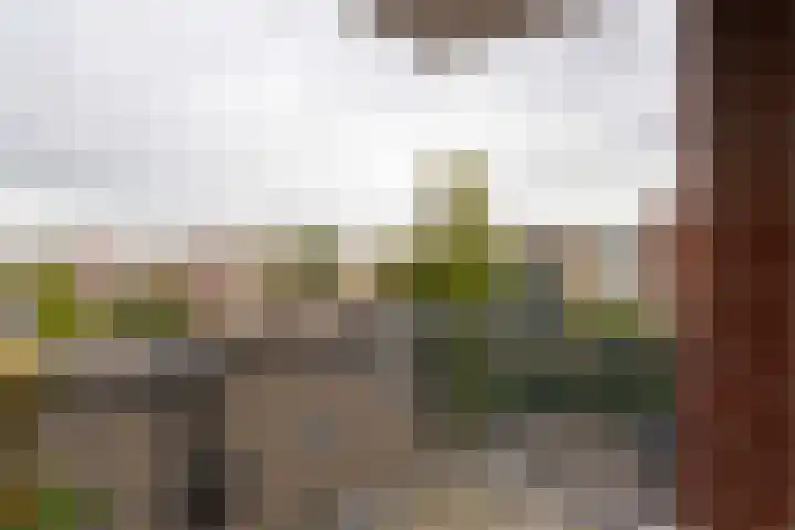 Geesterwaardelaan 14 Rijnsburg thumbnail 14