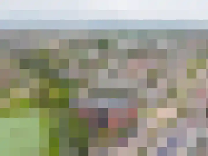 Geesterwaardelaan 14 Rijnsburg thumbnail 33