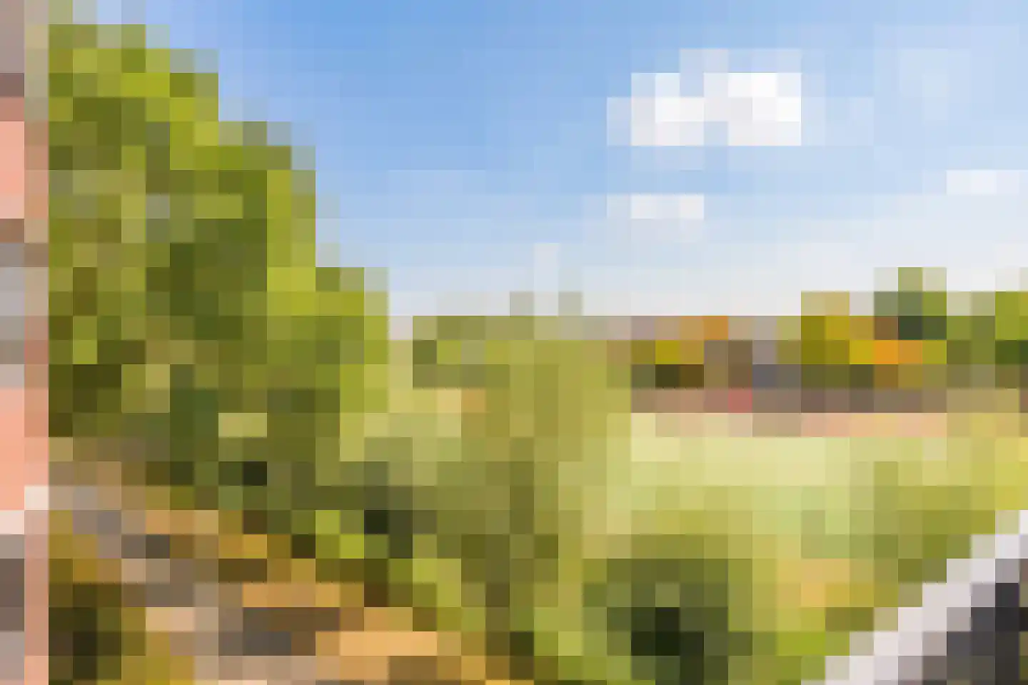 Geesterwaardelaan 20 Rijnsburg thumbnail 16