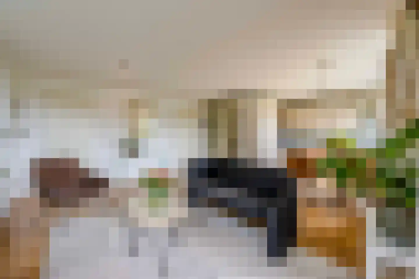 Geesterwaardelaan 20 Rijnsburg thumbnail 18
