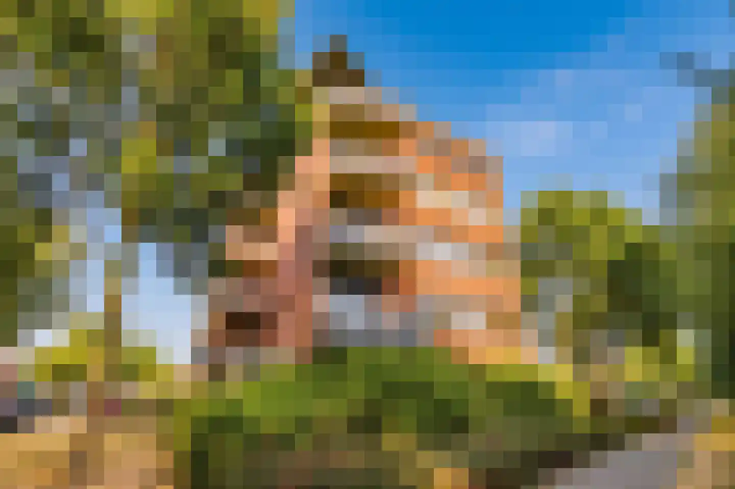Geesterwaardelaan 20 Rijnsburg foto 3