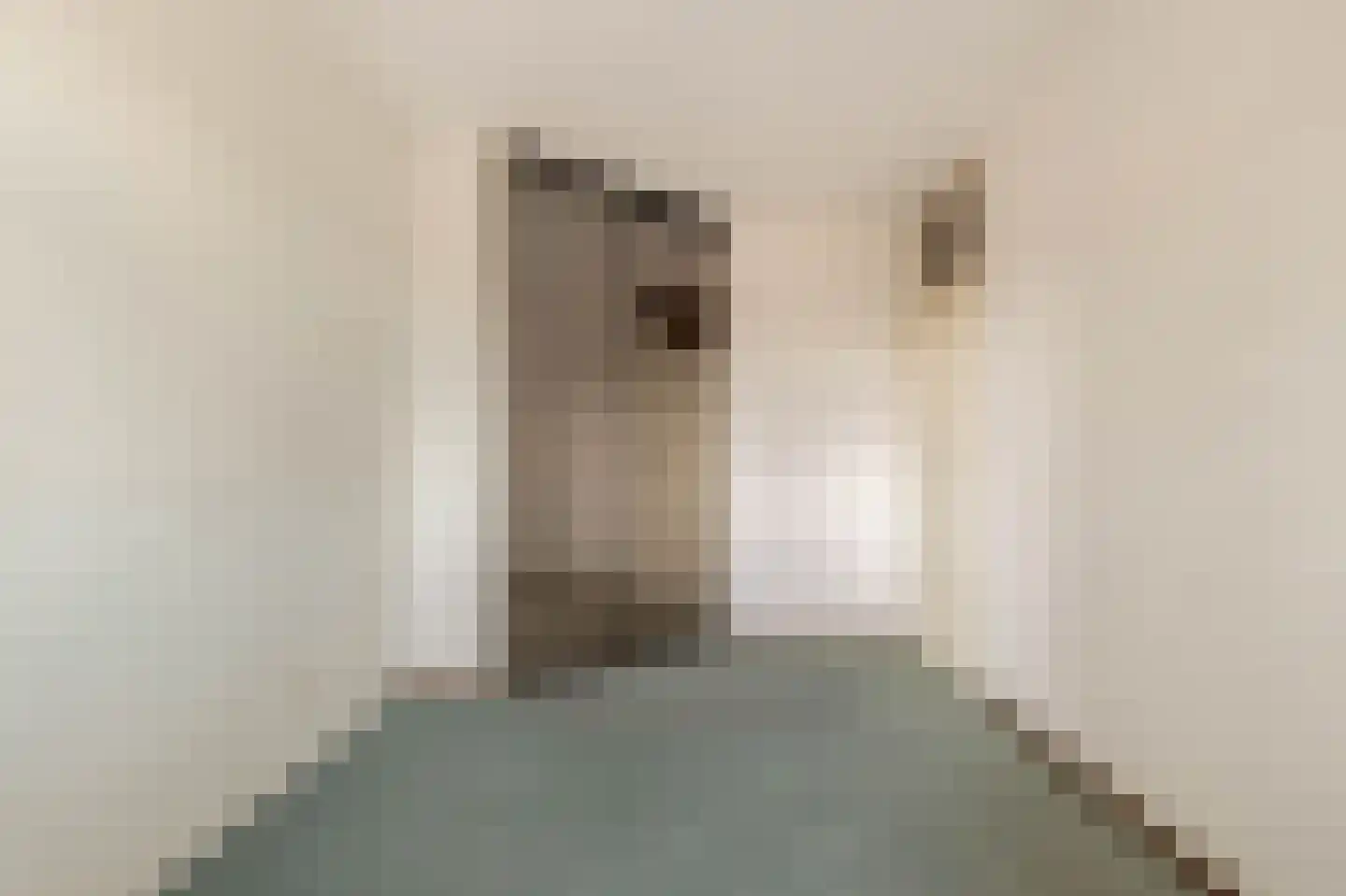 Geesterweg 1 E Alkmaar thumbnail 13