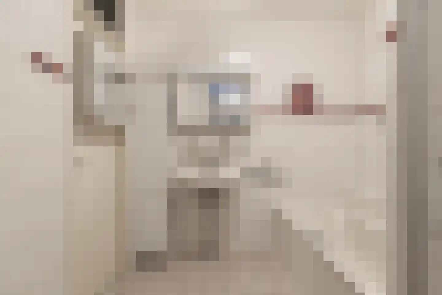 Geesterweg 1 E Alkmaar thumbnail 16