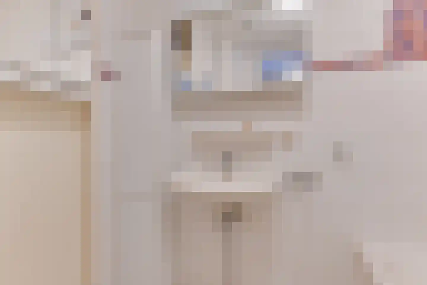 Geesterweg 1 E Alkmaar thumbnail 16
