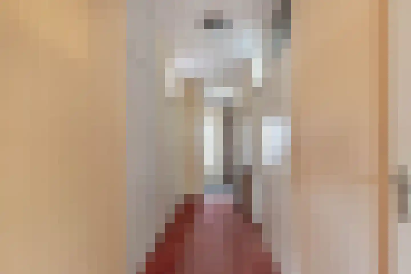 Geesterweg 1 E Alkmaar thumbnail 20