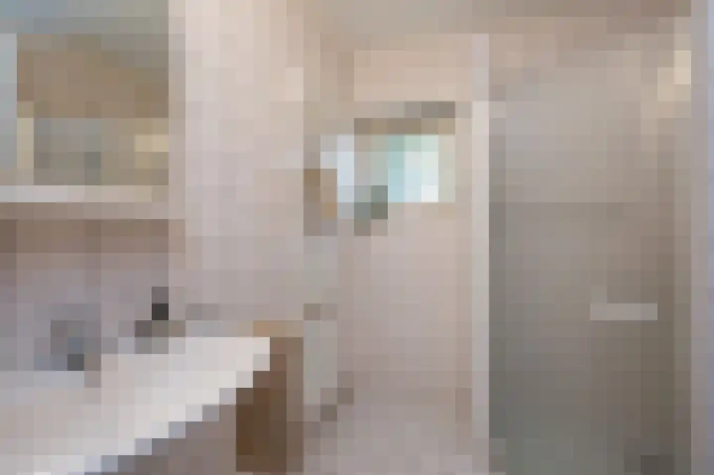 Geesterweg 1 E Alkmaar thumbnail 31