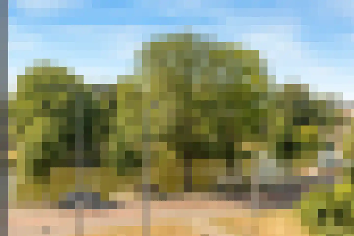 Geesterweg 1 E Alkmaar thumbnail 5