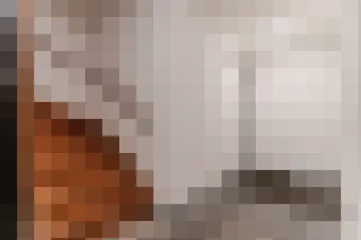Geesterweg 12 d Akersloot thumbnail 11