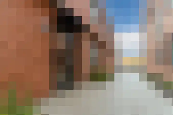 Geesterweg 12 d Akersloot thumbnail 9
