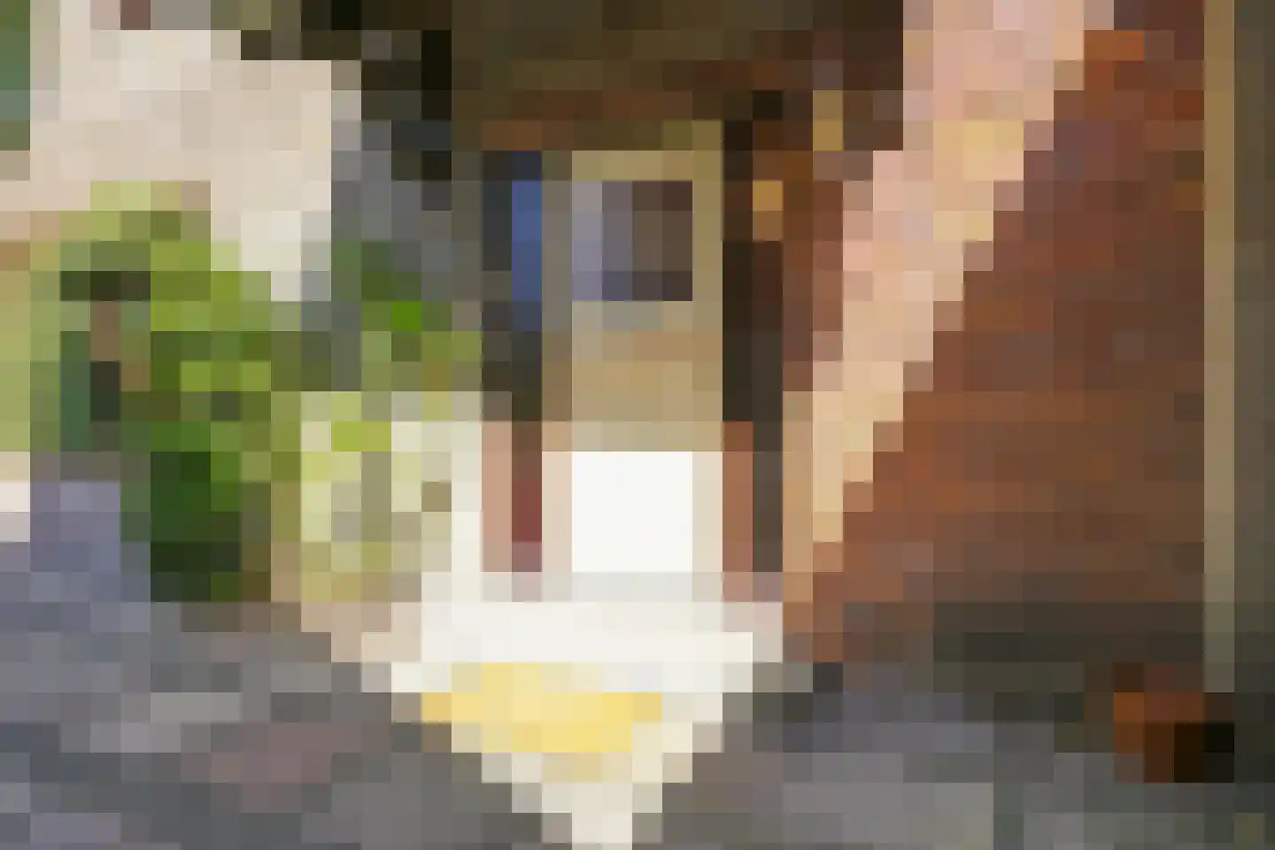 Geesterweg 69 Uitgeest thumbnail 10